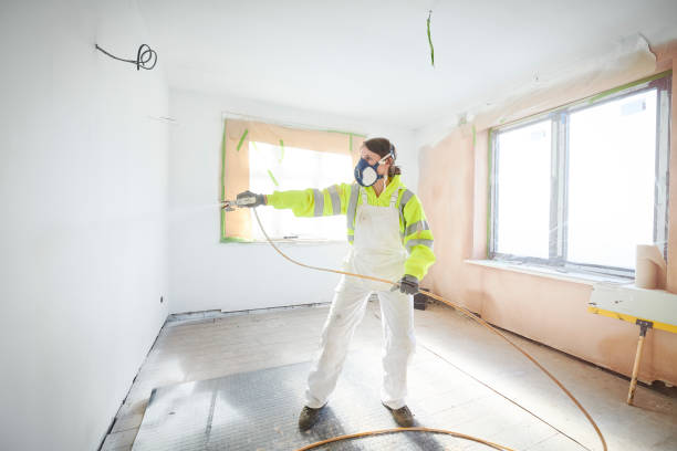 Professional Mold Removal in Lisbon, IA